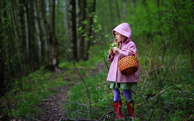 Child in Forest — Green, Serene, Spring