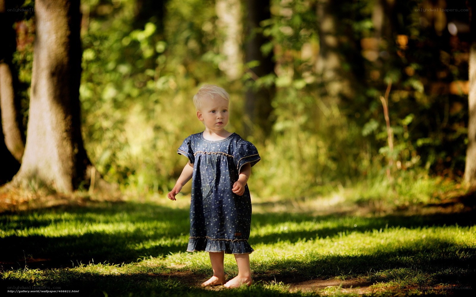 Child in forest sunlight