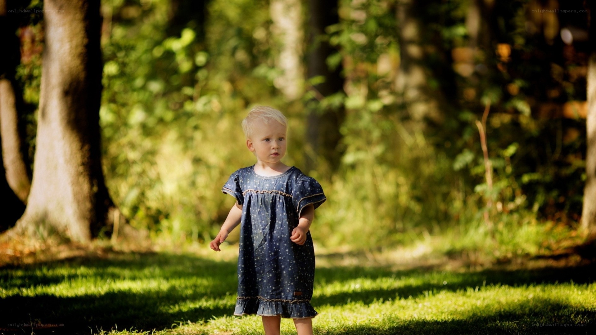 Child in forest sunlight