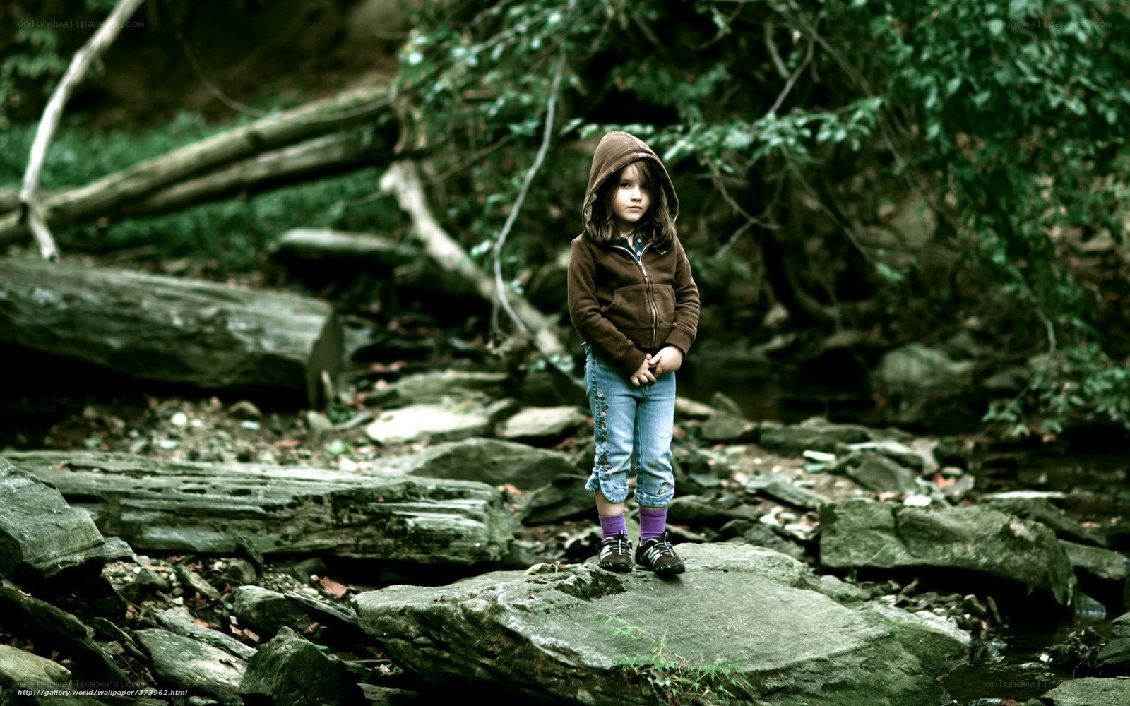 child in forest with hood