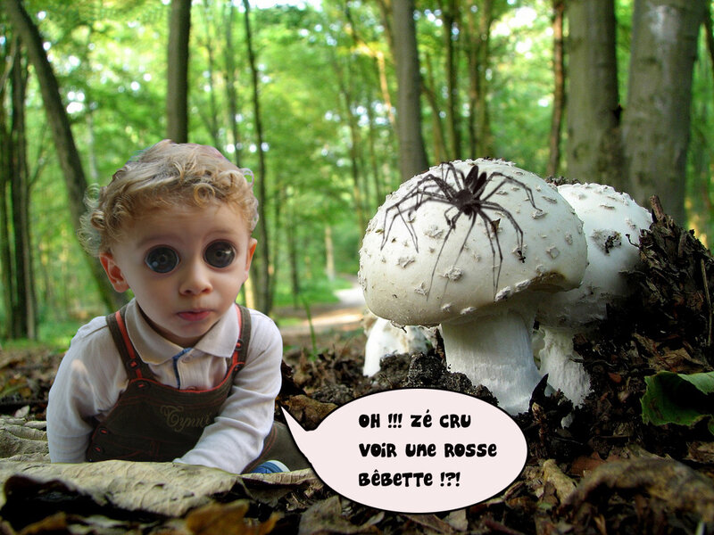 child in forest with mushrooms