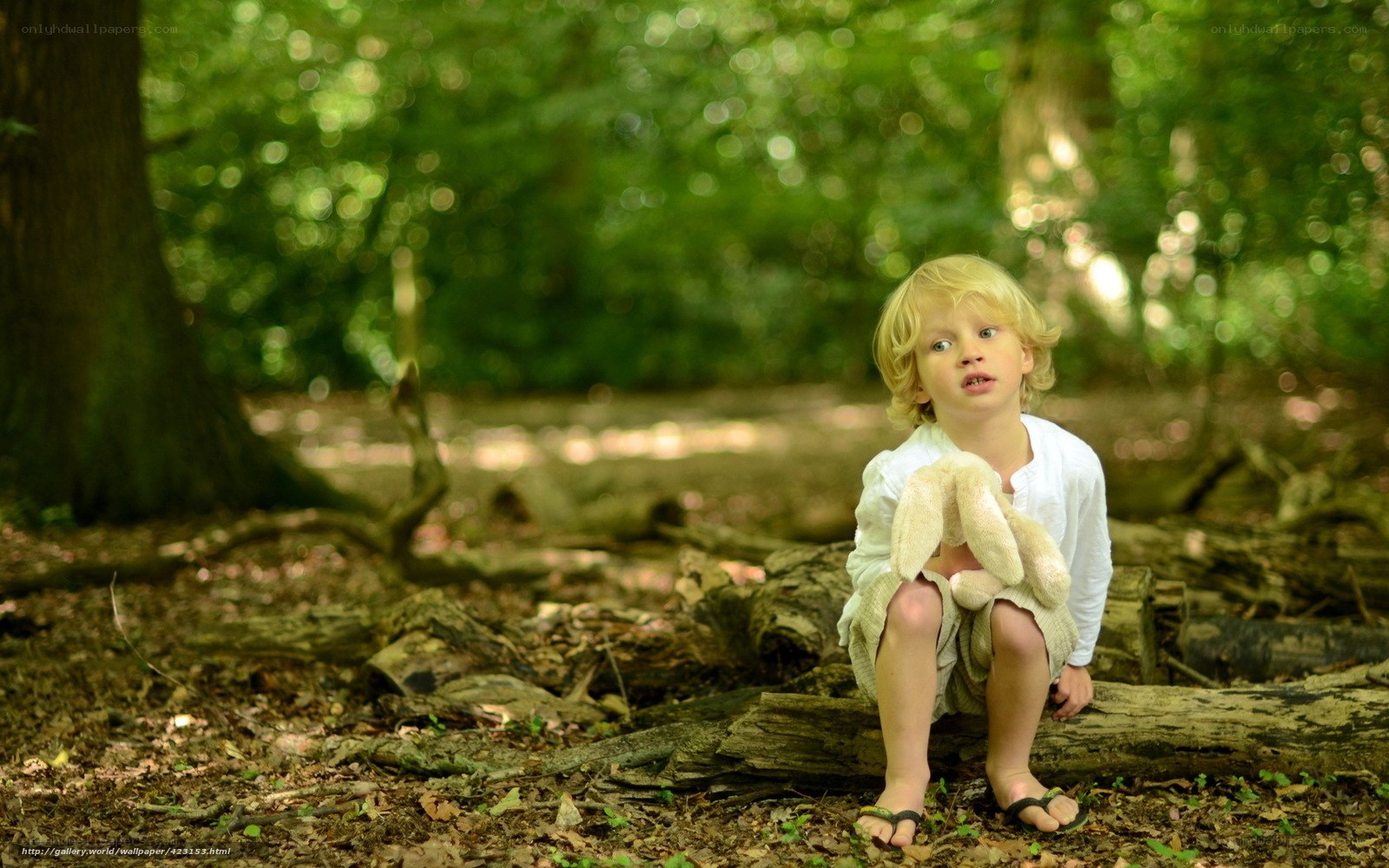 child in forest with toy