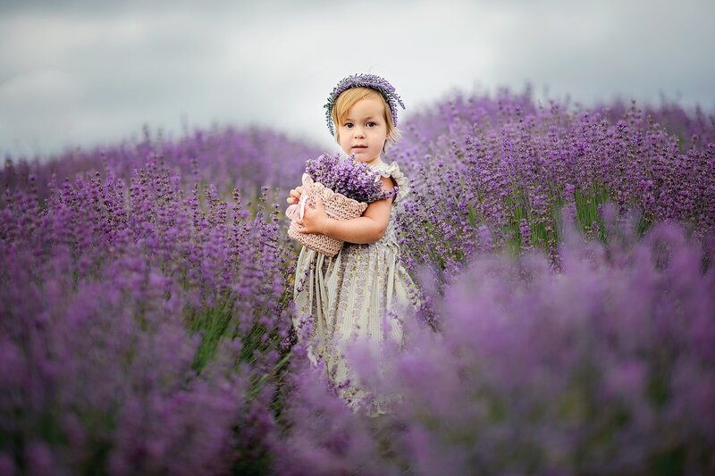 Child in Lavender Field — Purple, Serene, Summer