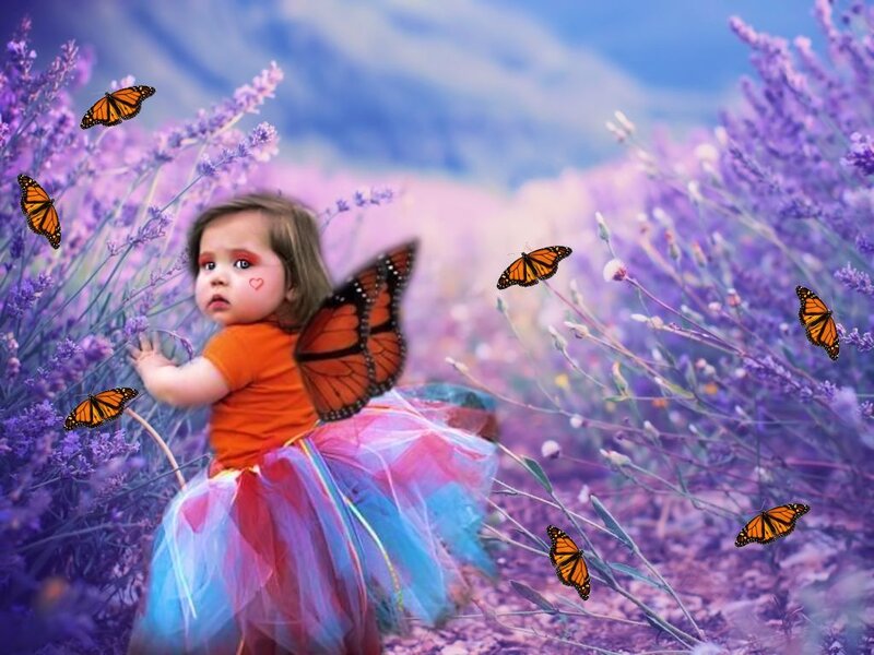 Child in Lavender Field — Purple