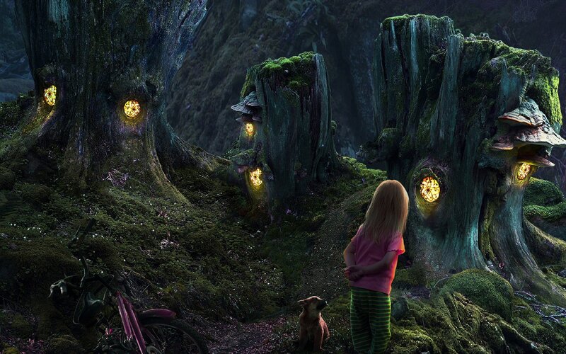 child in magical forest