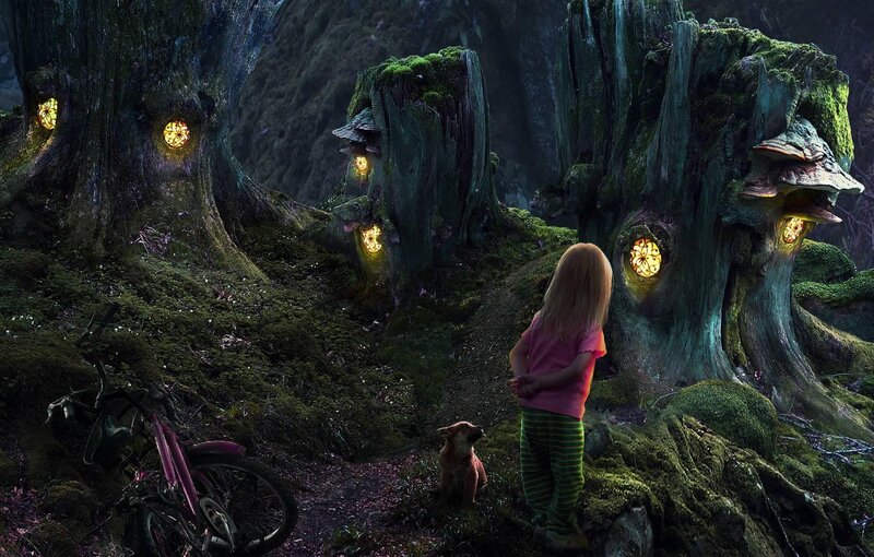 child in magical forest