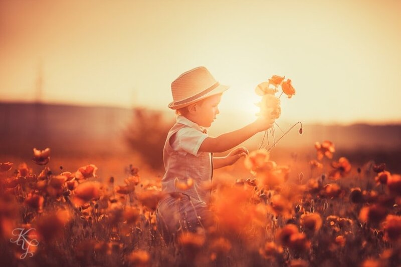 Child in Poppy Field — Orange, Serene, Sunset