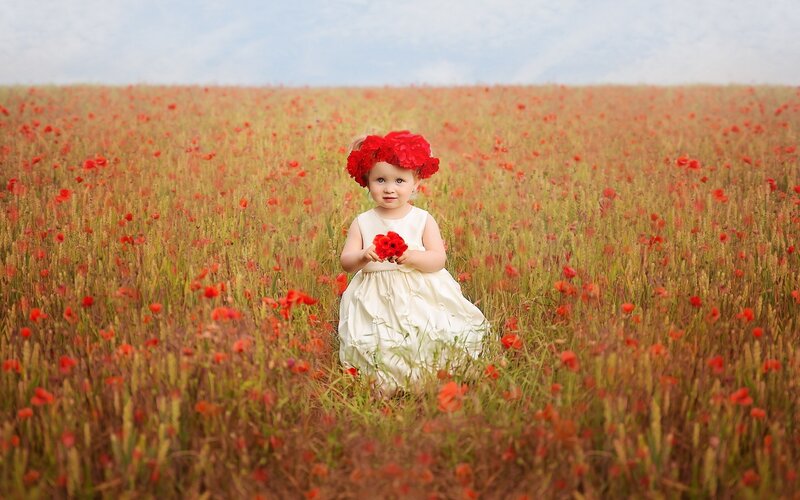 Child in Poppy Field — Red, Serene, Summer, Photograph
