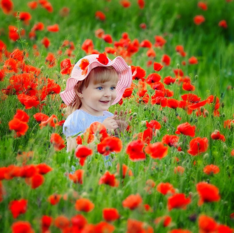 Child in Poppy Field — Red, Serene, Summer