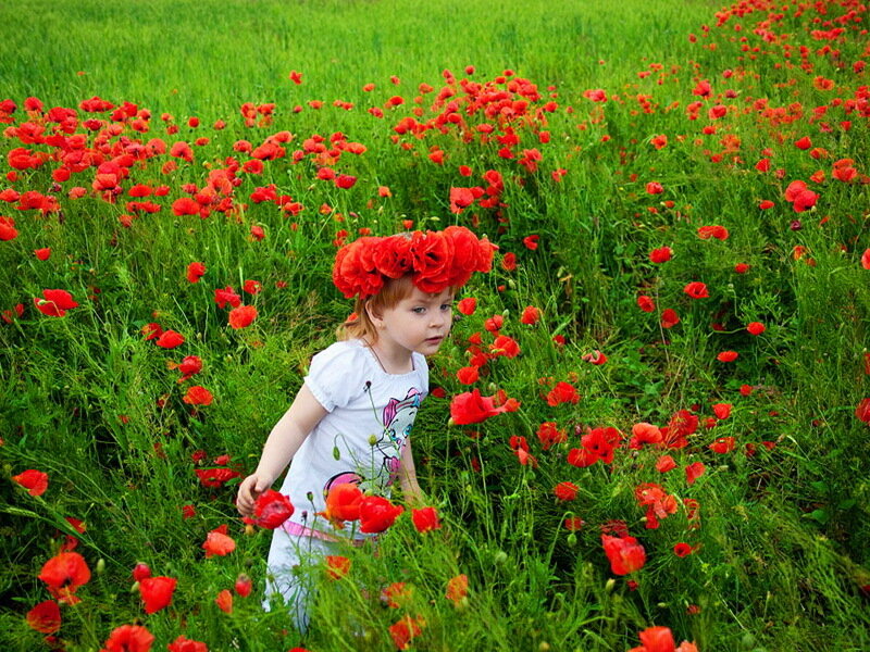 Child in Poppy Field — Red