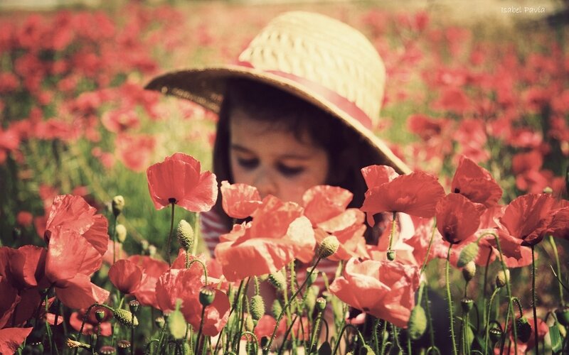Child in Poppy Field