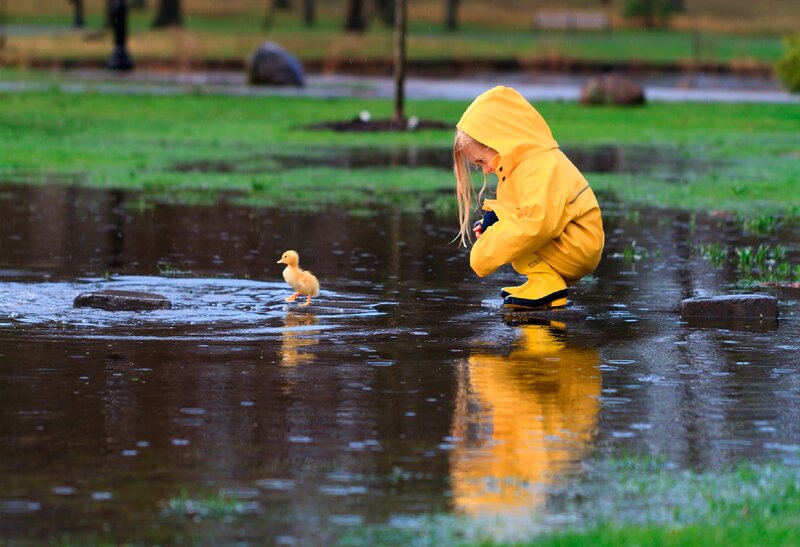 Child in Raincoat with Duckling