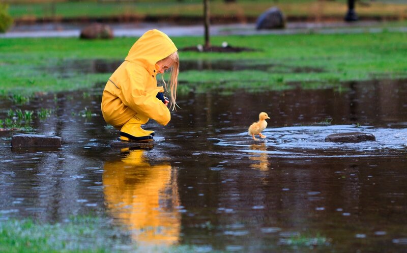 Child in Raincoat with Duckling — Yellow