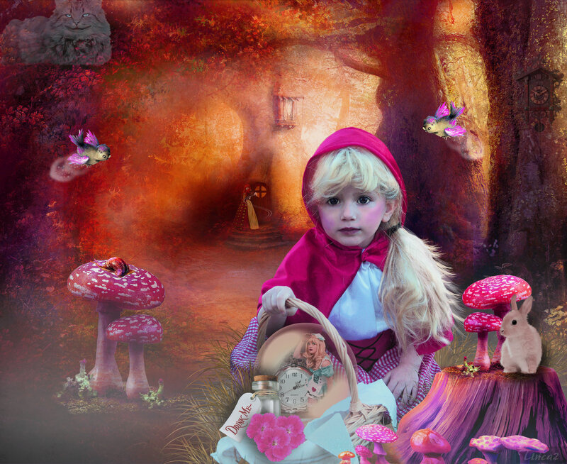 Child in Red Hood — Fantastical