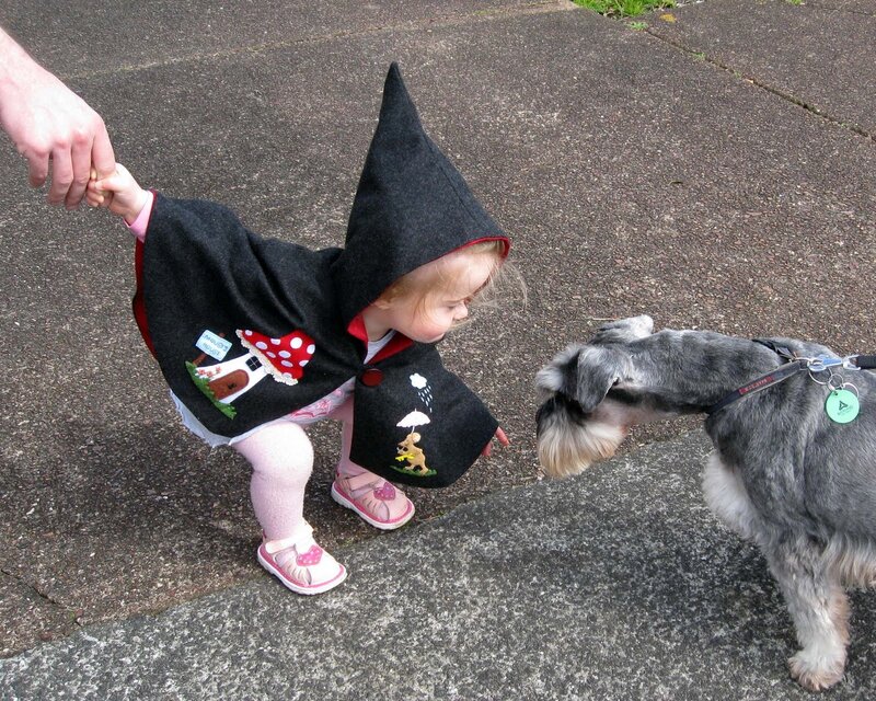 Child in Red Riding Hood Costume