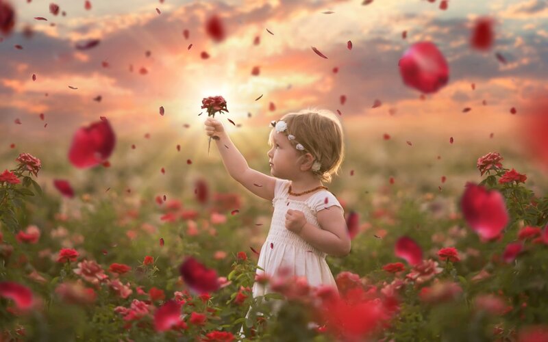 Child in Rose Field