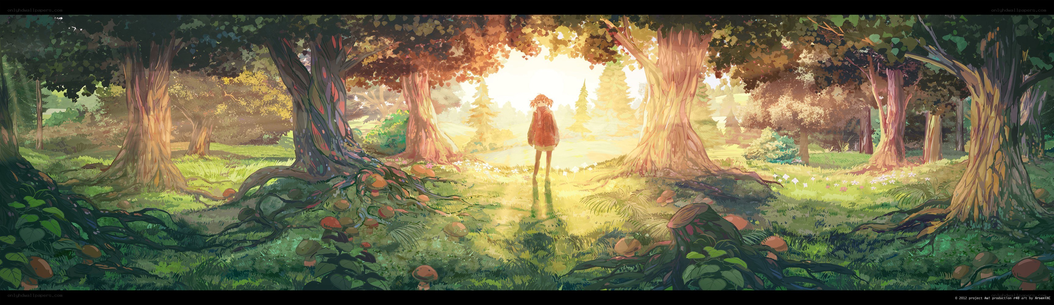 child in sunlit forest