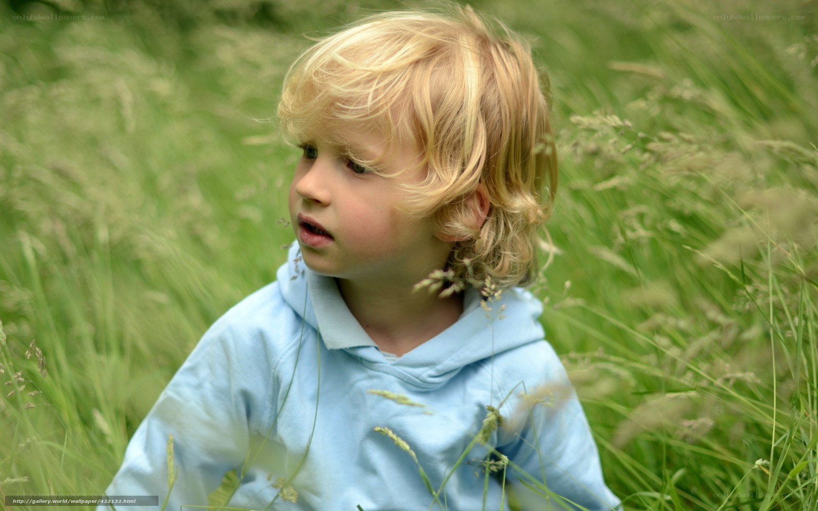 child in tall grass