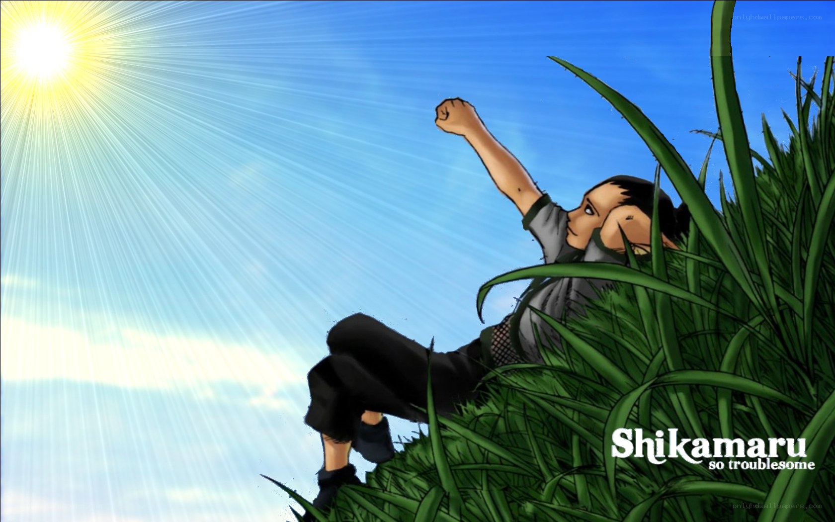 child in tall grass under sun