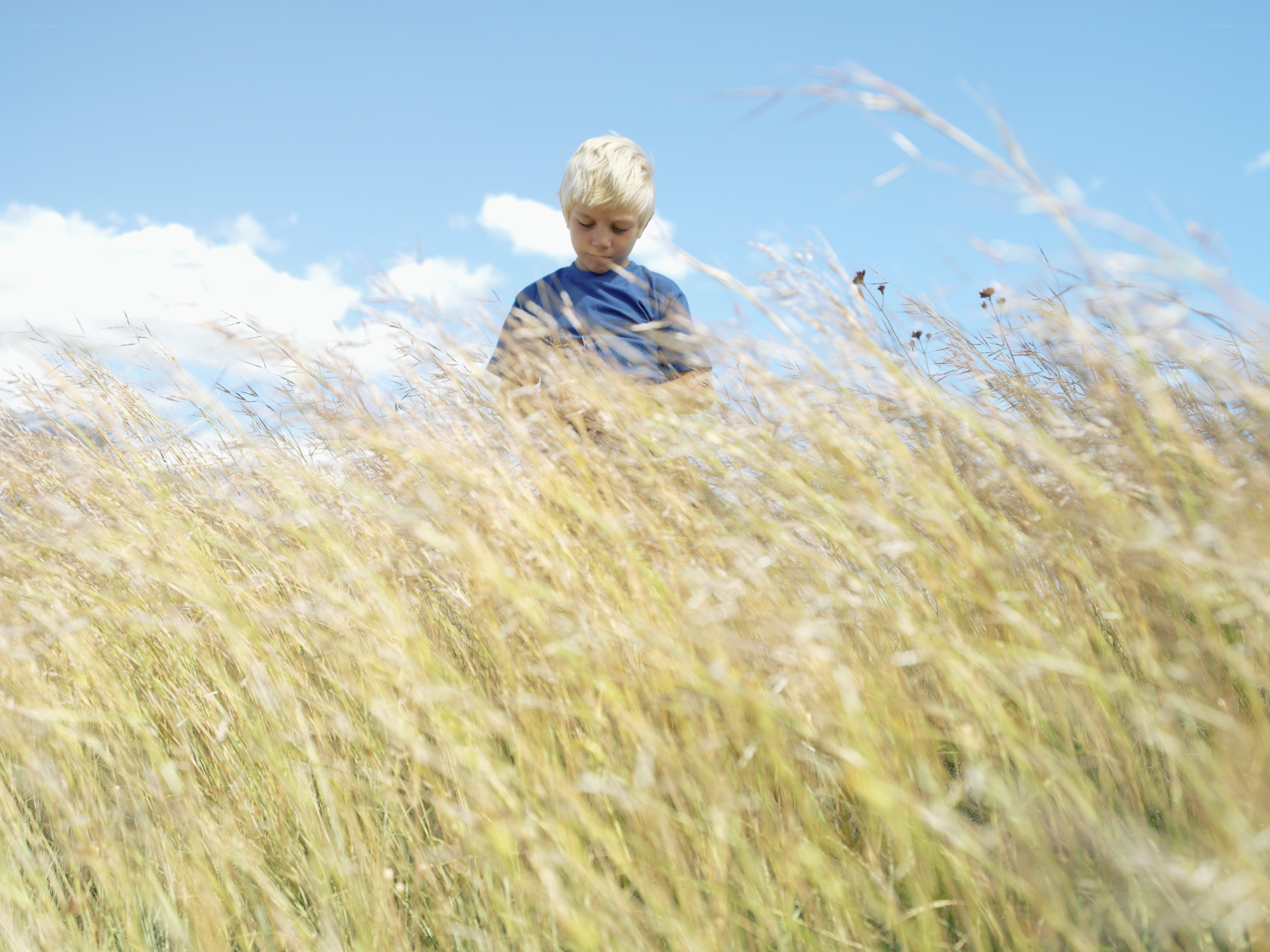 child in tall grass