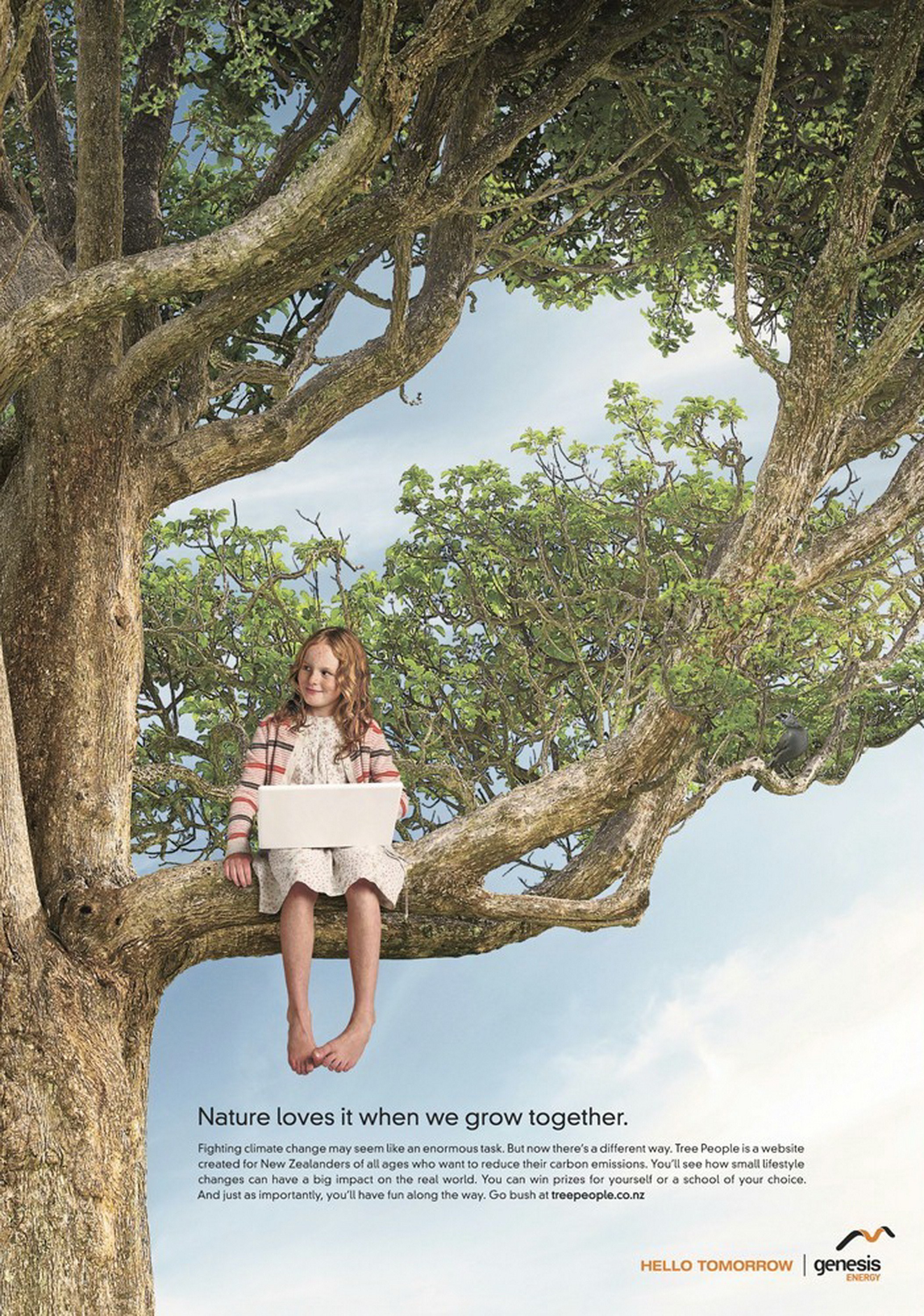 child in tree with laptop