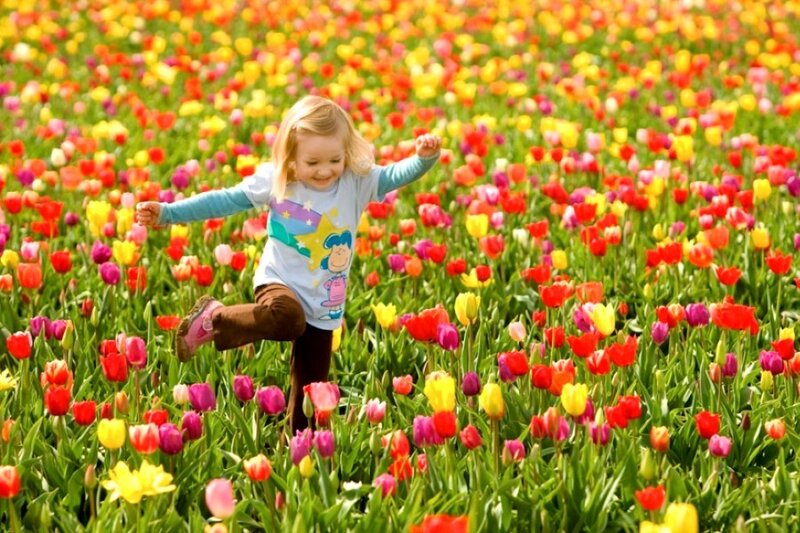 Child in Tulip Field — Red