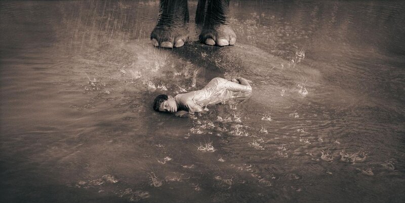 Child in water under elephant feet