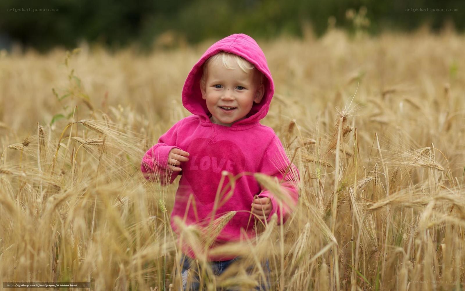 child in wheat field