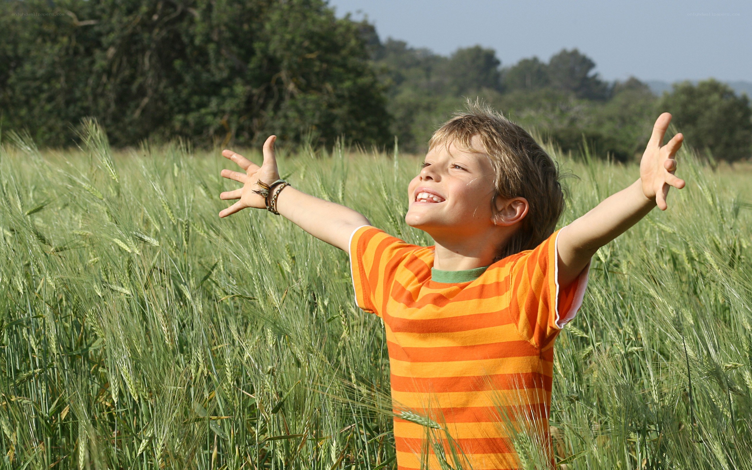 child in wheat field