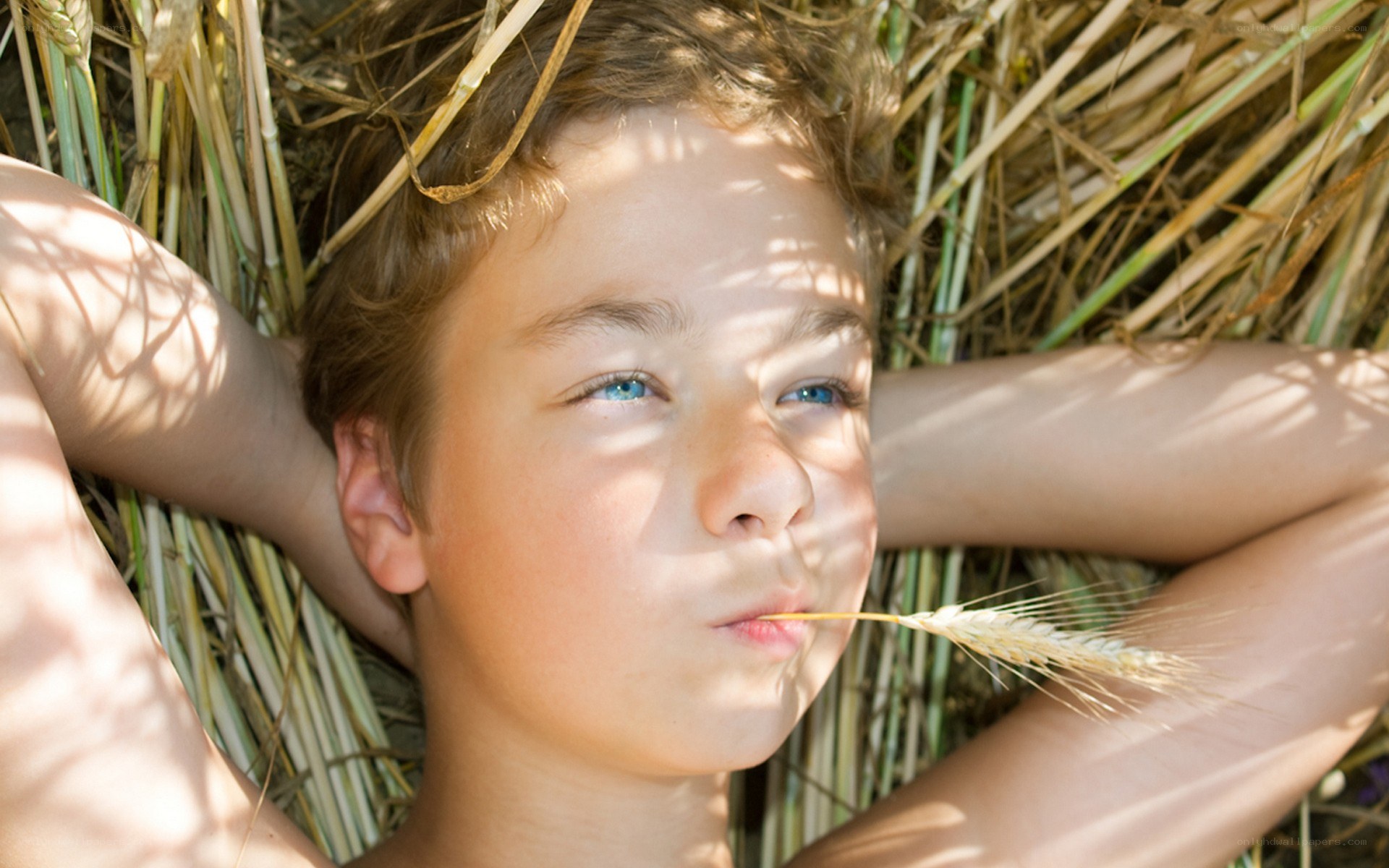 child in wheat field