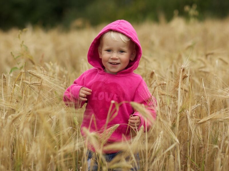 Child in Wheat Field — Pink