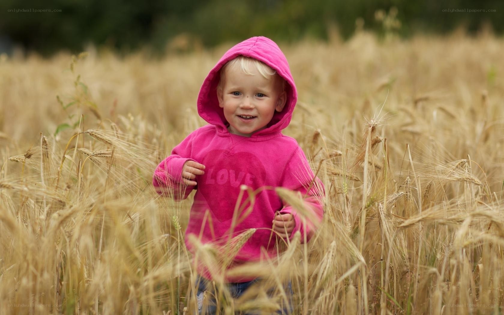 child in wheat field