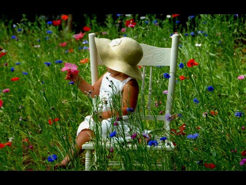 Child in Wildflower Field