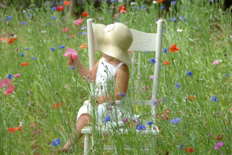 Child in Wildflowers