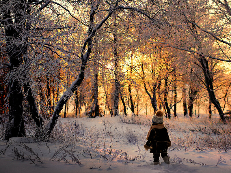 Child in Winter Forest