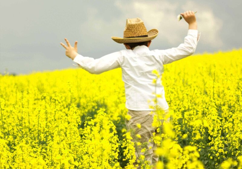 Child in Yellow Field — Serene, Spring