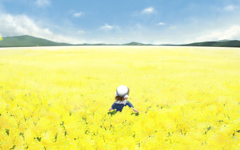 Child in Yellow Field — Serene