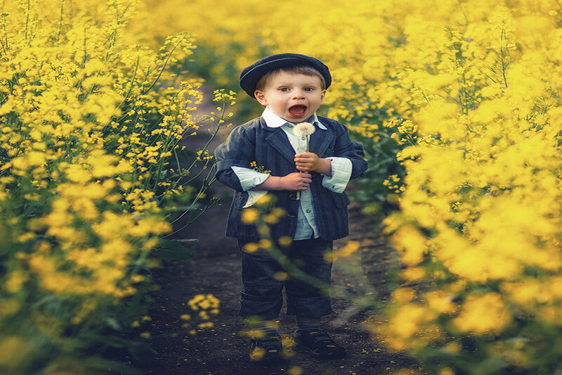 Child in Yellow Field