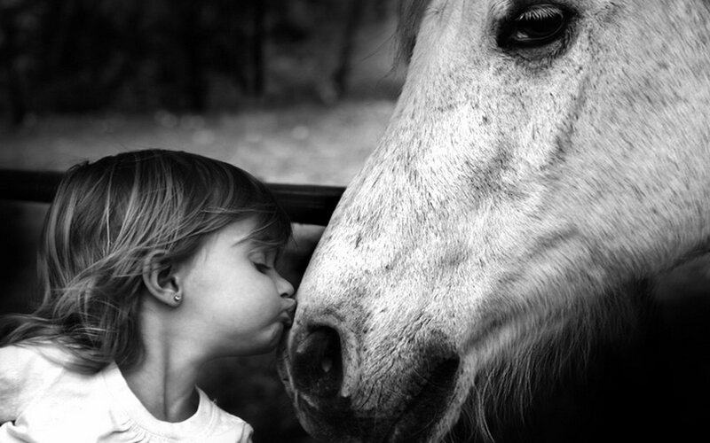 child kissing a horse