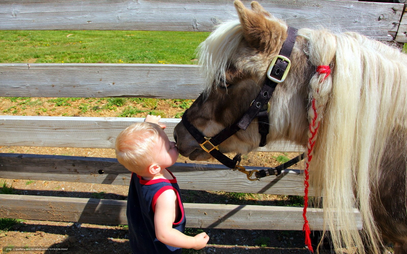 child kissing a pony