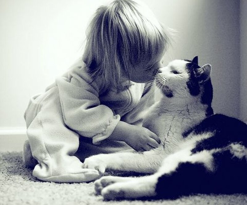 Child Kissing Cat