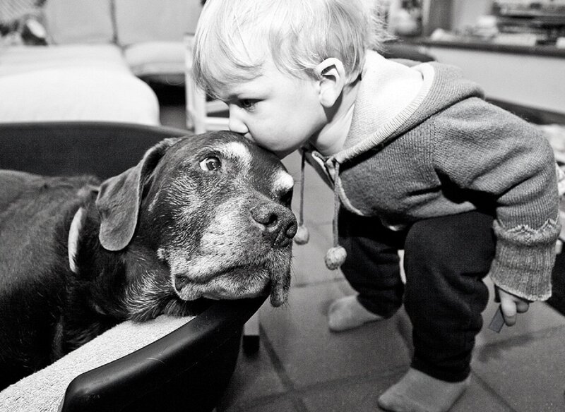 Child Kissing Dog — Black