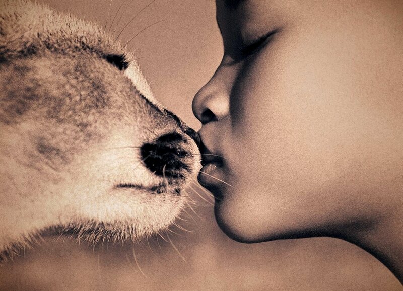 Child Kissing Dog