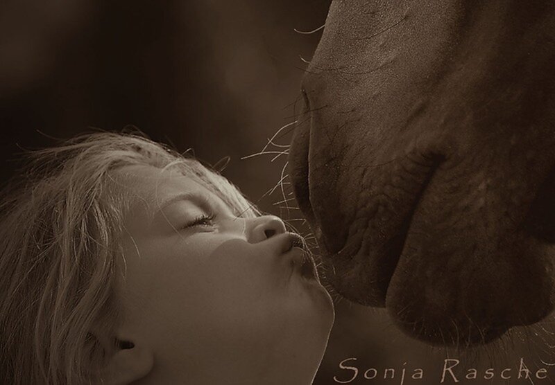 Child Kissing Horse