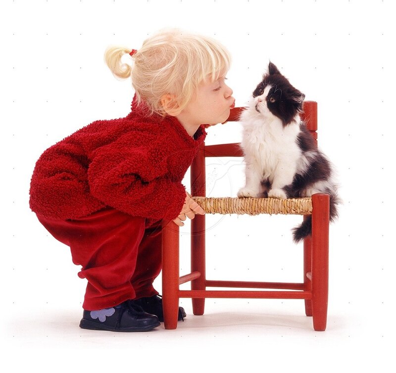 Child Kissing Kitten