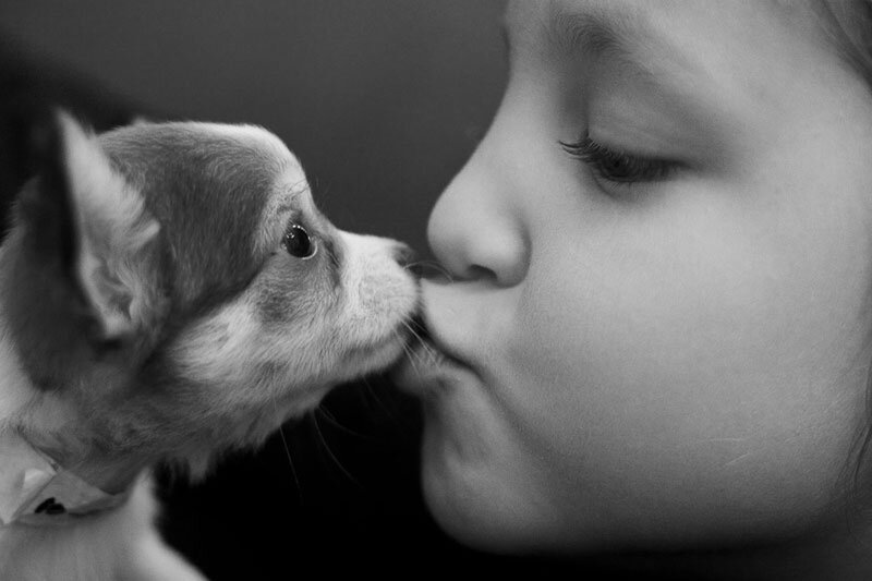 Child Kissing Puppy — Black, Intimate
