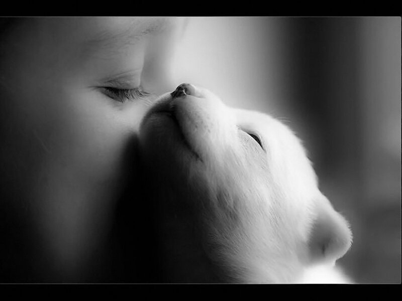 Child Kissing Puppy — Black