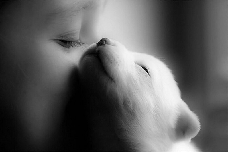 Child Kissing Puppy
