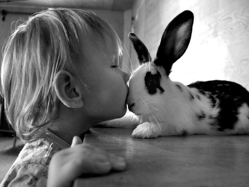 Child Kissing Rabbit — Black