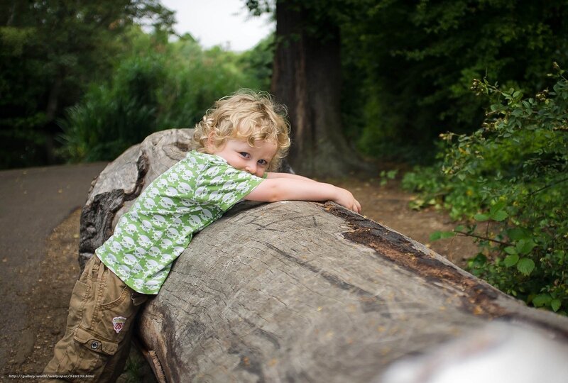 Child Leaning on Log — Green, Calm